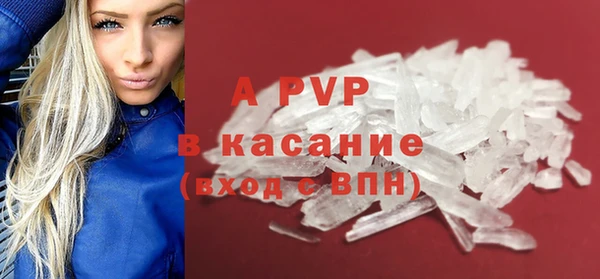 хмурый Белокуриха