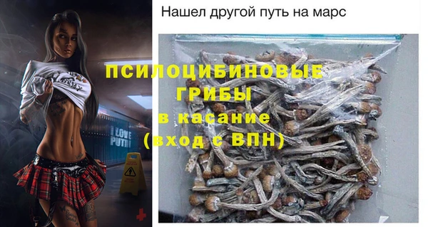 хмурый Белокуриха