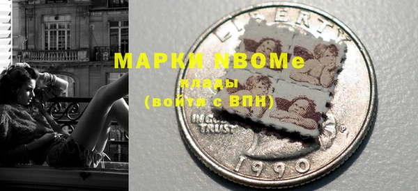 хмурый Белокуриха